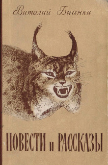 povesti i rasskazy 1772518078