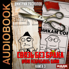 svyaz bez braka. kniga 3. vremya razbrasyvat kamni 1786282359
